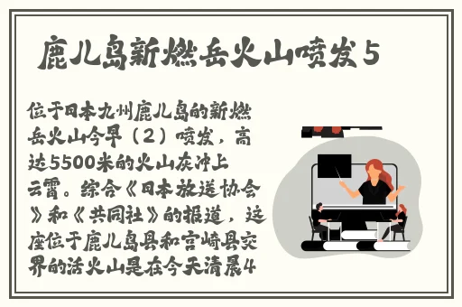 小扫货2免费观看